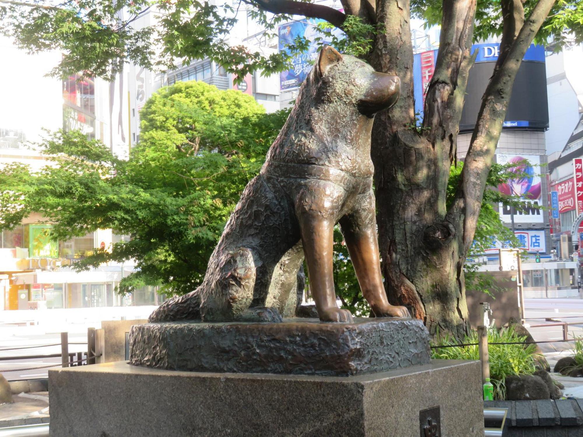 Apa Hotel Shibuya Dogenzakaue Токио Экстерьер фото